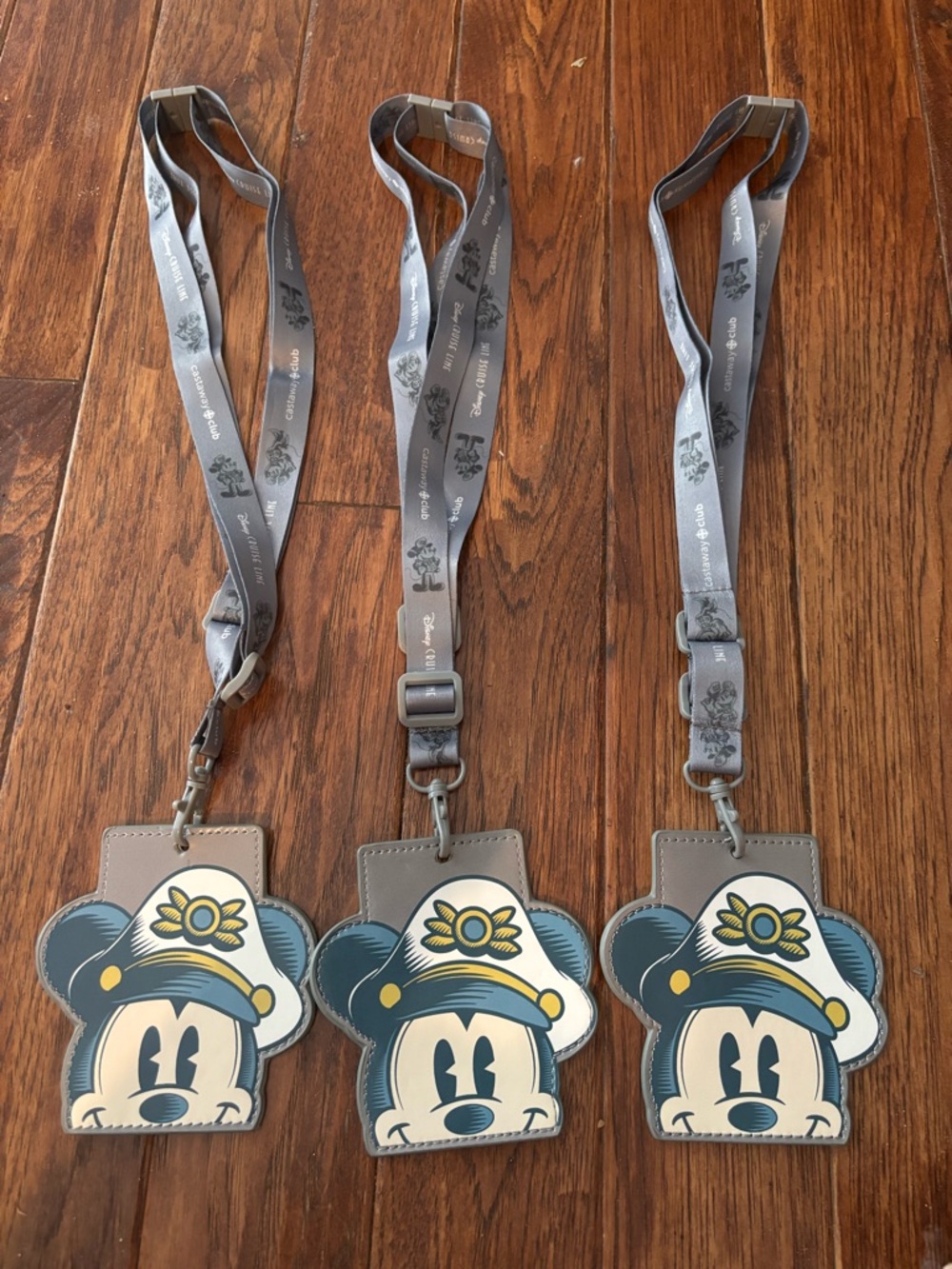 Disney Cruise Silver Lanyards Set Three 3 Mickey